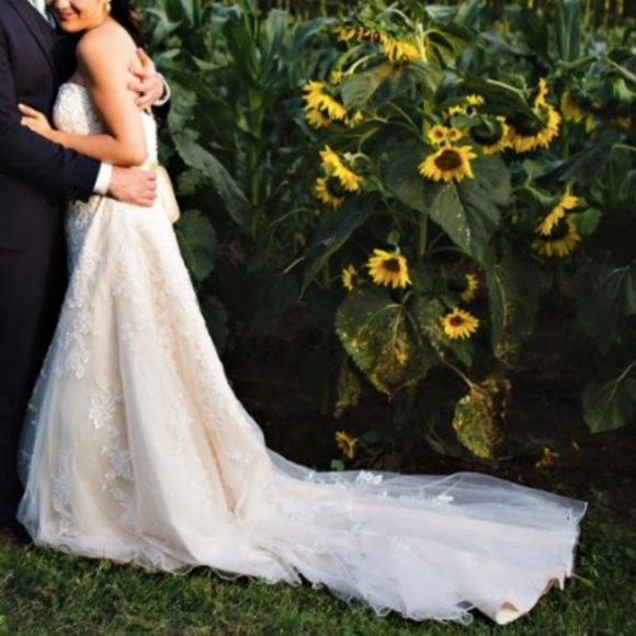 David's Bridal Lace Overlay Wedding Dress - Picture 4 of 6